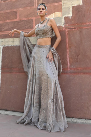 Carina space gray lehenga set