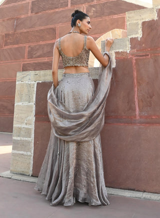 Carina space gray lehenga set