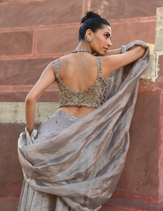 Carina space gray lehenga set