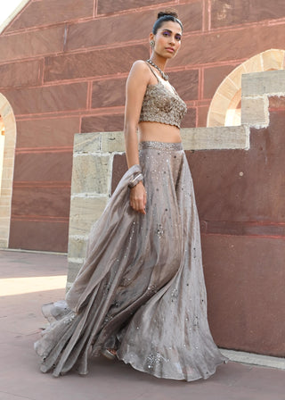 Carina space gray lehenga set