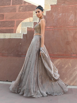 Carina space gray lehenga set