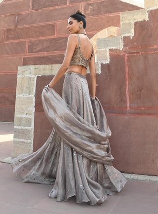 Carina space gray lehenga set