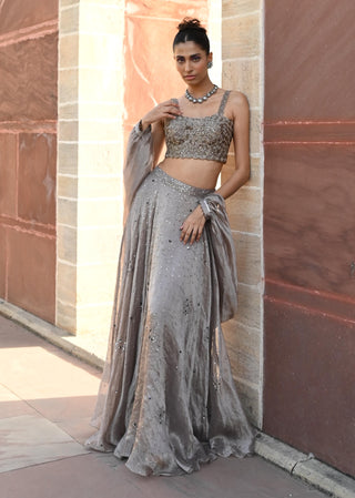 Carina space gray lehenga set