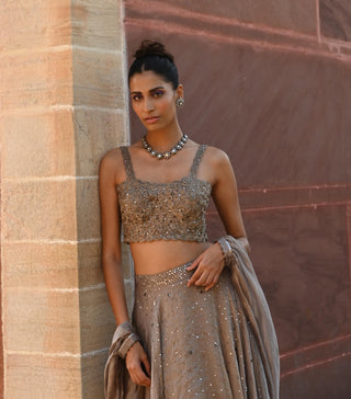 Carina space gray lehenga set