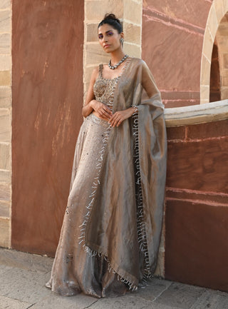 Carina space gray lehenga set