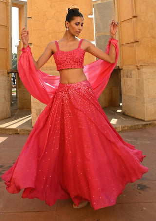 Carina rani pink lehenga set