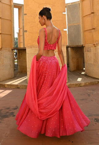 Carina rani pink lehenga set