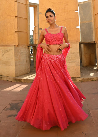 Carina rani pink lehenga set