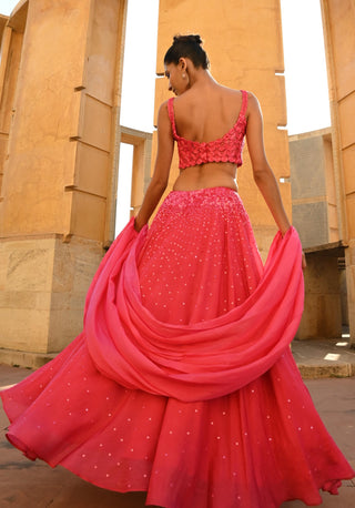 Carina rani pink lehenga set