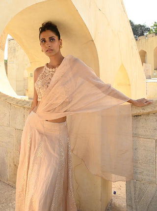 Pavo peach sari and blouse