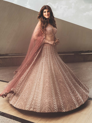 Pale pink bridal embroidered lehenga set