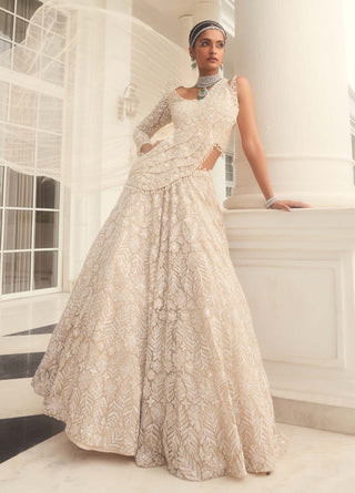 Emma ivory net embroidered lehenga set