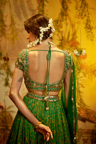 Green neem lehenga set