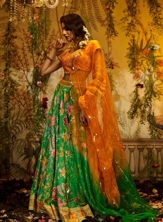 Aboli green lehenga set