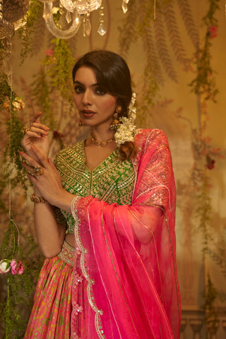 Pink gull mehendi lehenga set