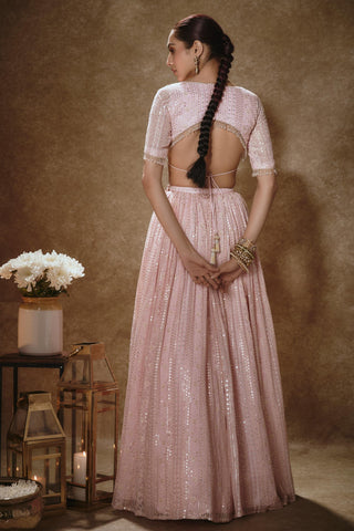 Blush pink lehenga set