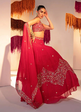 Rani pink embroidered lehenga set