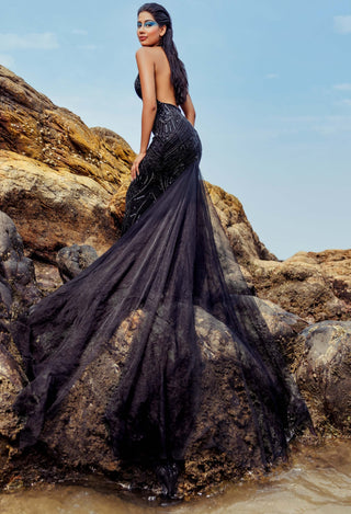 Black coral embroidered gown