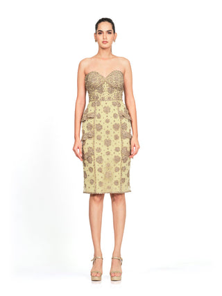 Pistachio embroidered strapless dress