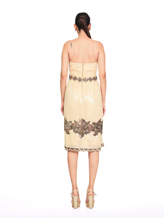 Ecru beige net dress