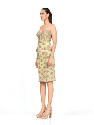 Pistachio embroidered strapless dress