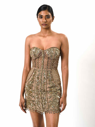 Gold embroidered corset fit dress