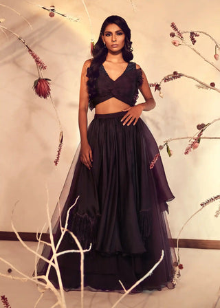 Blackberry wine bougie lehenga and blouse