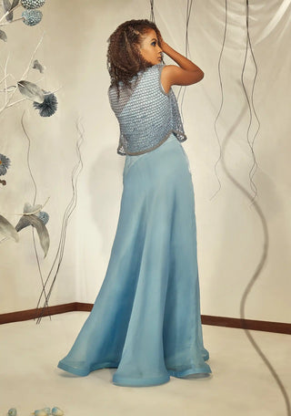 Powder blue extravagant gown and jacket