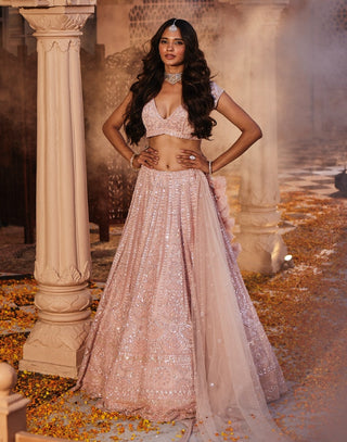 Harsha pink embroidered lehenga set