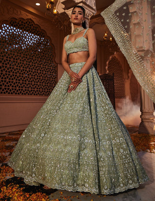 Diva embroidered lehenga set