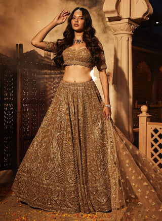 Golden paisley embroidered lehenga set