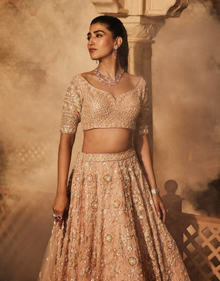 New alyssa peach lehenga set