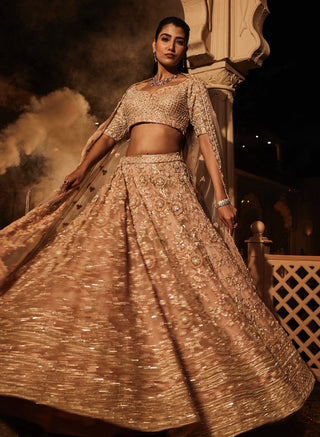 New alyssa peach lehenga set