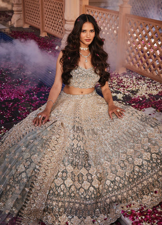 Eva dusty embroidered lehenga set