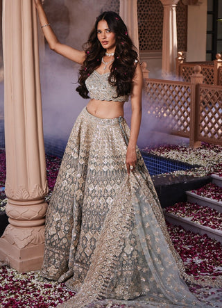 Eva dusty embroidered lehenga set