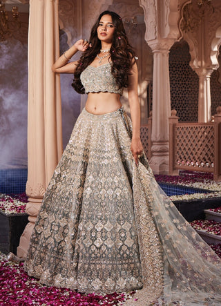 Eva dusty embroidered lehenga set