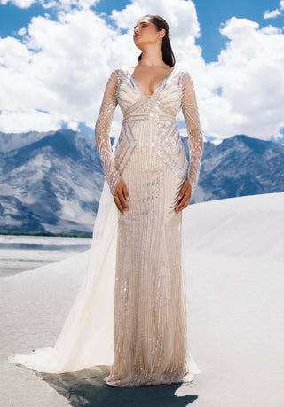 Ivory silver full sleeved gown