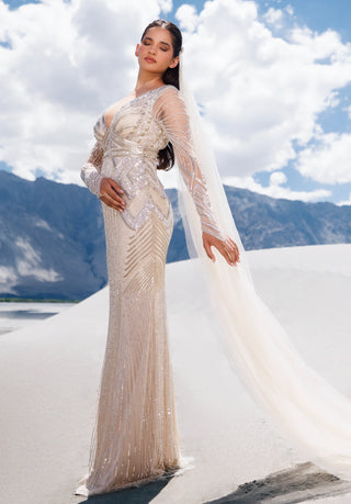 Ivory silver full sleeved gown