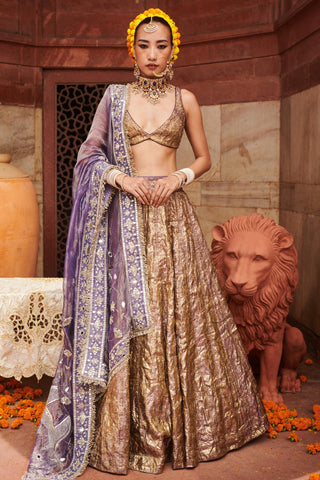 Purple krishna naach kumud lampi lehenga set