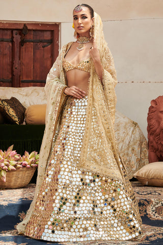 Gold sheesh mahal naach lehenga set