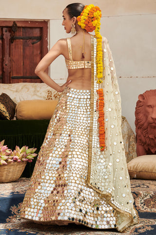 Gold sheesh mahal naach lehenga set