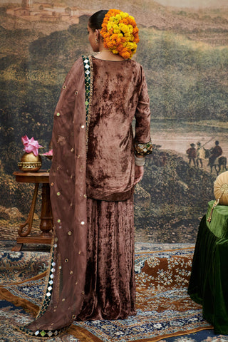 Brown makhmal naach khayal suit