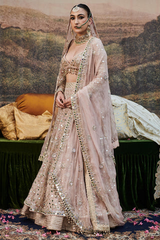 Pink rang de gulaab naach lehenga and veil