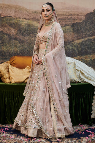 Pink rang de gulaab naach lehenga and veil