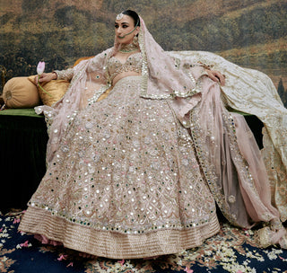 Pink rang de gulaab naach lehenga and veil