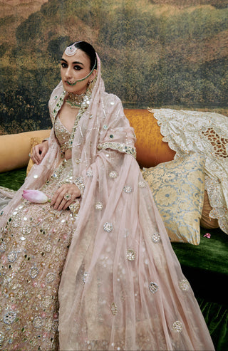 Pink rang de gulaab naach lehenga and veil