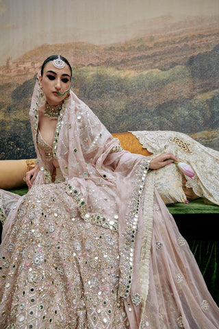 Pink rang de gulaab naach lehenga and veil