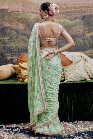 Green naayaab naach saree