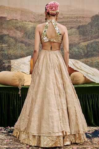 Gold aafreen naach lehenga set