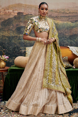 Gold sheesh naach saanjh lehenga set